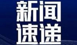 东谷最新爆料新闻,揭秘行业黑幕，独家内幕曝光