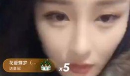 吴迪徒弟爆料事件视频,内幕揭秘与争议焦点